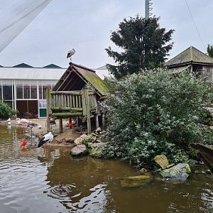 Island in Lemur kingdom