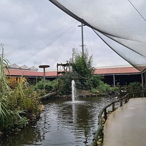 Lemur islands in Lemur kingdom