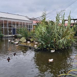 First lemur island in Lemur kingdom