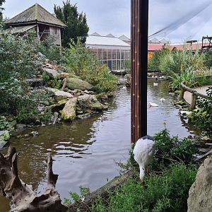 View in Lemur kingdom