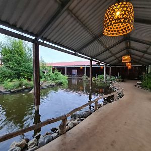 Walkway in Lemur kingdom