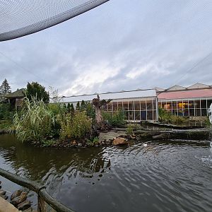 Lemur islands in Lemur kingdom