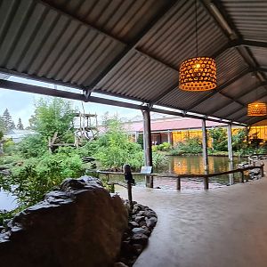 Walkway in Lemur kingdom