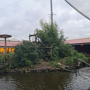 Main lemur island in Lemur kingdom