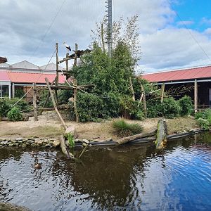 Main lemur island in Lemur kingdom