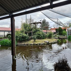 Main lemur islands in Lemur kingdom