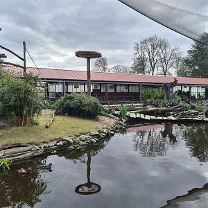 Lemur islands in Lemur kingdom