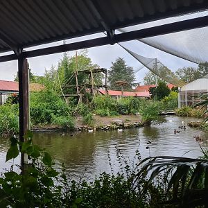 Main lemur islands in Lemur kingdom