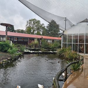 Walkway towards Lemur indoor holding in Lemur kingdom