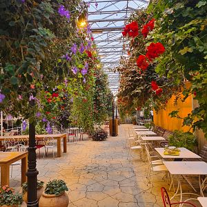 View in hanging gardens restaurant