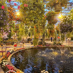 View in hanging gardens restaurant