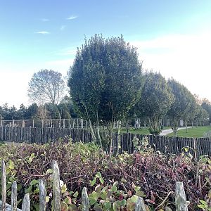 Site Of The New NSCC