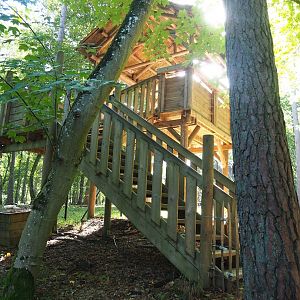 Arctic wolf viewing area, 2023-09-26