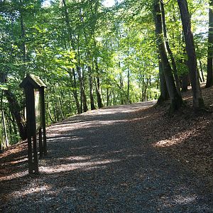 Walkway in the chamois area, 2023-09-26