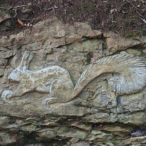 Red squirrel rock carving, 2023-09-26