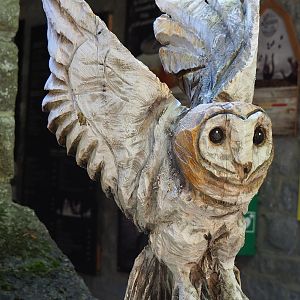 Barn owl wood carving, 2023-09-26