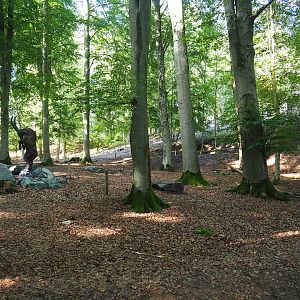 Part of the chamois area, 2023-09-26