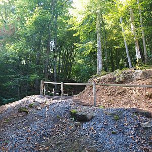 Walkway through ravine forest from higher area to lower area, 2023-09-26