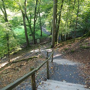 Walkway through ravine forest from higher area to lower area, 2023-09-26