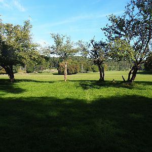 Lower part of the wildlife park - Large mixed paddock in the Lesse Valley, 2023-09-26