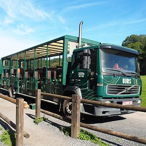 Safari car, 2023-09-26