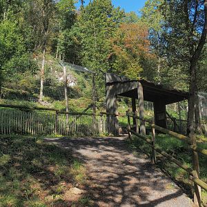 Carpathian lynx exhibit and viewing area, 2023-09-26