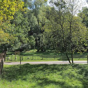 European white stork exhibit, 2023-09-26