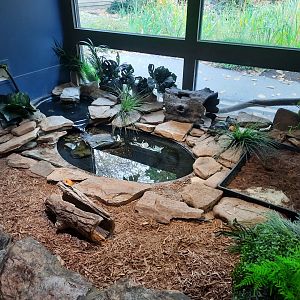Turtle Exhibit