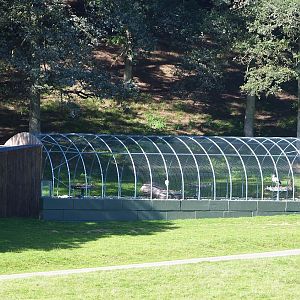 Aviary for the reintroduction of European white storks, 2023-09-26