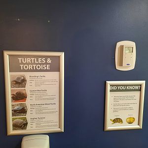 Turtle Exhibit Species List