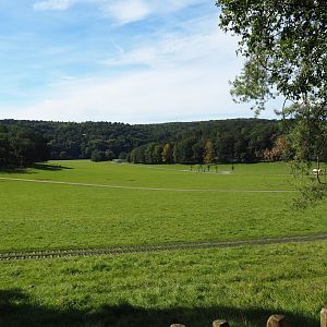 Lower part of the wildlife park - Large mixed paddock in the Lesse Valley, 2023-09-26