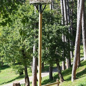 White stork nest, 2023-09-26