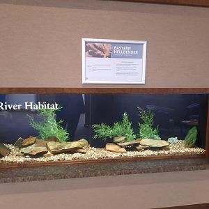 River Exhibit