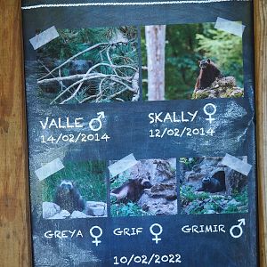 Wolverines at Han signage, 2023-09-26