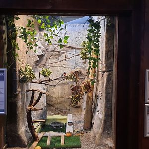 Indoor Small Bird Exhibit