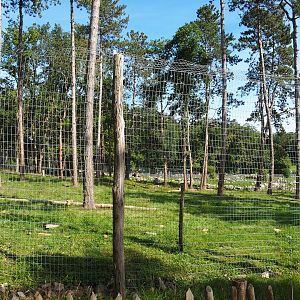 Newer European brown bear exhibit, 2023-09-26