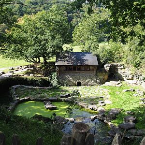 Original European brown bear exhibit, 2023-09-26