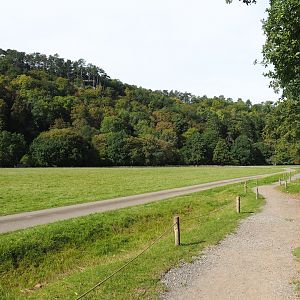Lower part of the wildlife park - Large mixed paddock in the Lesse Valley, 2023-09-26