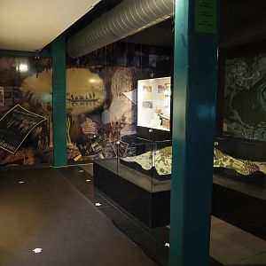 PrehistoHan Museum - Geology displays, 2023-09-26