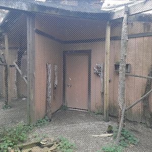 Empty Bird Exhibit
