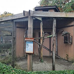 Barred Owl Exhibit