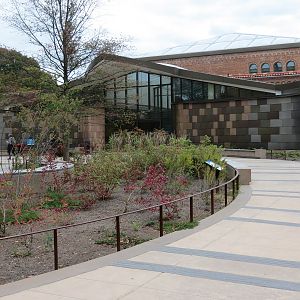 Bird House - Exterior