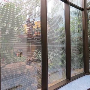 Bird House - Lobby - Preview of Songbird Aviary