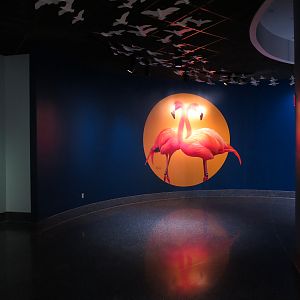 Bird House - Flyway Gallery