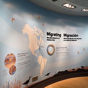 Bird House - Shorebird Aviary