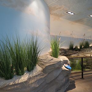 Bird House - Shorebird Aviary