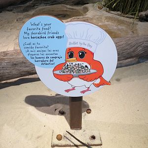 Bird House - Shorebird Aviary