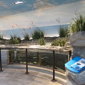 Bird House - Shorebird Aviary