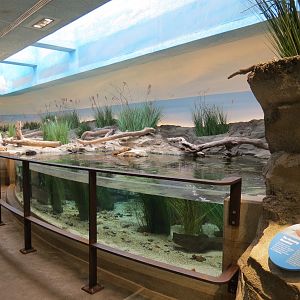 Bird House - Shorebird Aviary