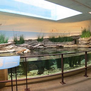 Bird House - Shorebird Aviary